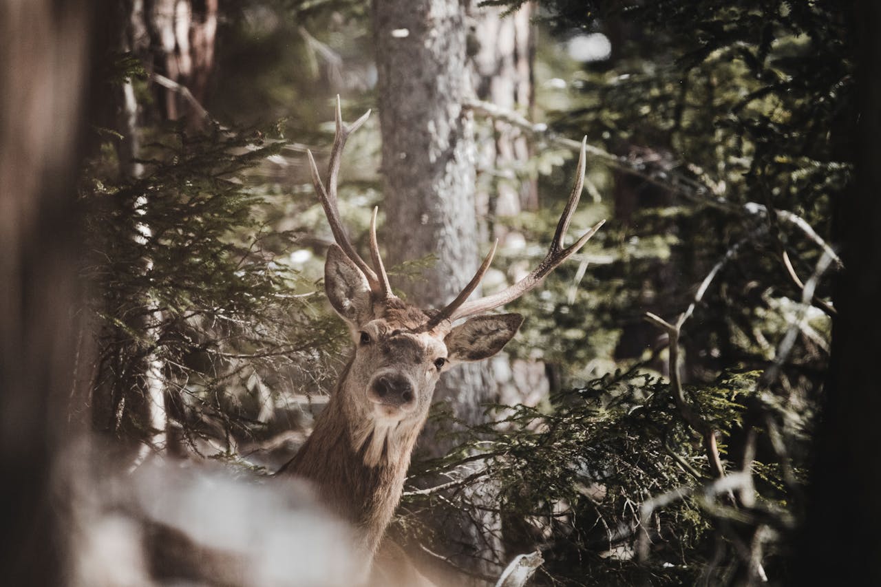 social-feed-img-02
